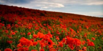 Πρωτομαγιά