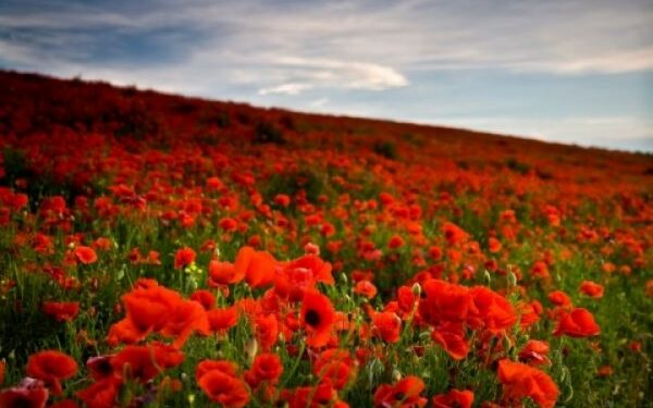 Πρωτομαγιά