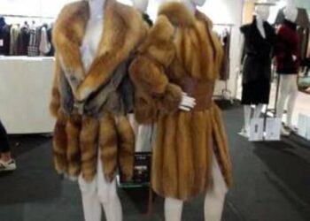 ΕΚΘΕΣΗ ΓΟΥΝΑΣ