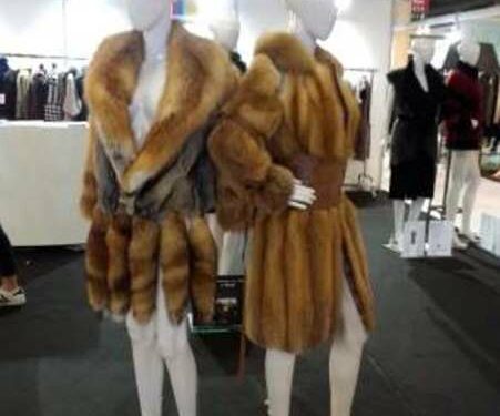 ΕΚΘΕΣΗ ΓΟΥΝΑΣ