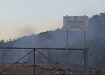 μπαζότοπος