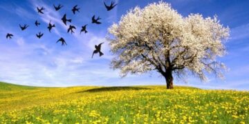 ΑΝΟΙΞΗ ΛΟΥΛΟΥΔΙΑ