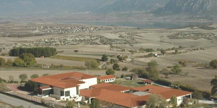 ΑΡΧΑΙΟΛΟΓΙΚΟ ΜΟΥΣΕΙΟ ΑΙΑΝΗΣ