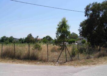 ξερα χορτα οικοπεδο