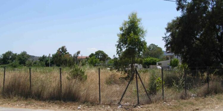 ξερα χορτα οικοπεδο