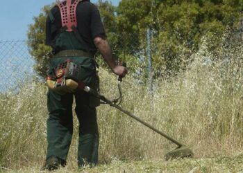 Χόρτα καθαρισμός