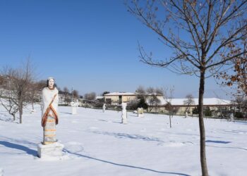 Αρχαιολογικό Μουσείο Αιανής