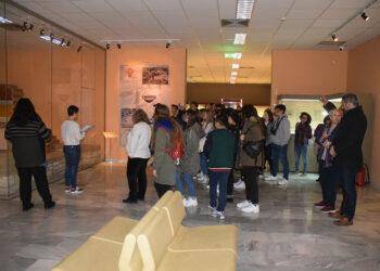 αιανη μουσειο