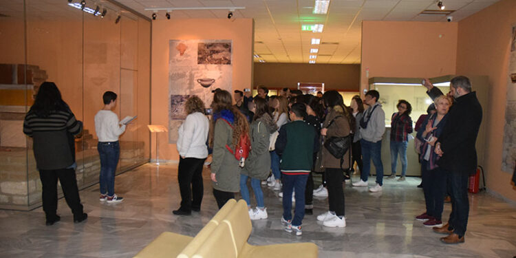 αιανη μουσειο