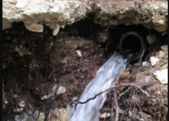 Νερό Μπούρινος