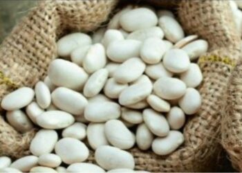 φασολια, οσπρια