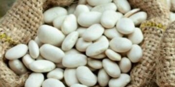 φασολια, οσπρια