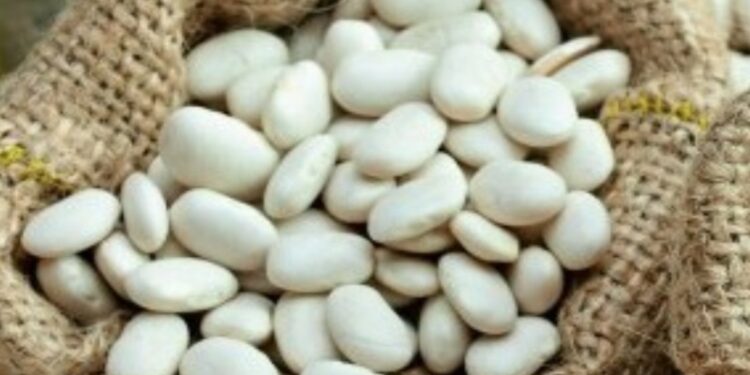 φασολια, οσπρια