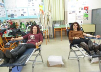 ΑΙΜΟΔΟΣΙΑ ΤΣΟΤΎΛΙ