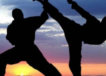 πολεμικες τεχνες, βια