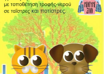 200326_Δήμος Κοζάνης Φροντίζουμε για τα αδέσποτα ζώα μετά την απαγόρευση μετακίνησης –Ταΐστρες και ποτίστρες σε πολλά σημεία_Αφίσα