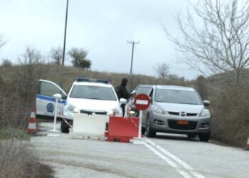 Δαμασκηνιά κορονοϊός καραντίνα