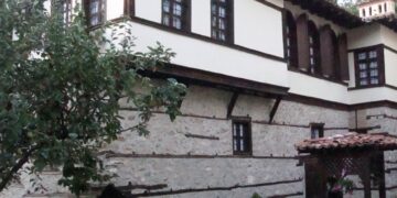 ΑΡΧΟΝΤΙΚΟ ΔΙΤΣΙΟΥ