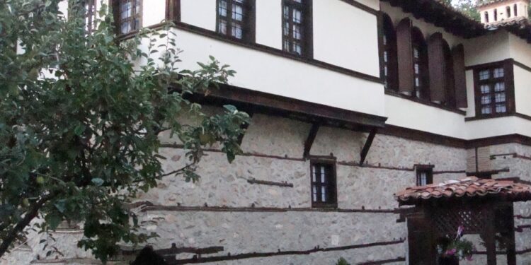 ΑΡΧΟΝΤΙΚΟ ΔΙΤΣΙΟΥ