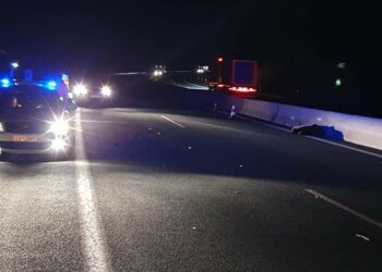 Αρκούδα τροχαίο