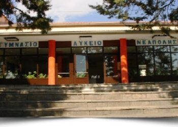 ΛΥΚΕΙΟ ΝΕΑΠΟΛΗΣ, ΣΧΟΛΕΙΟ