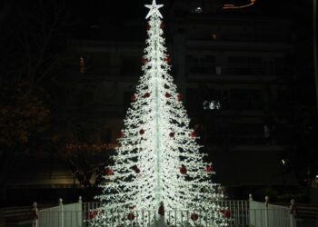 Δέντρο Γρεβενά Χριστούγεννα