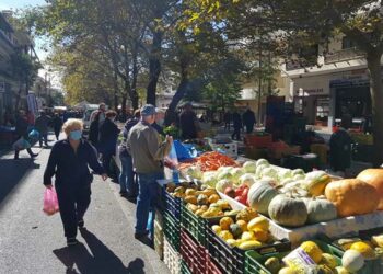 Λαϊκή Κοζάνης