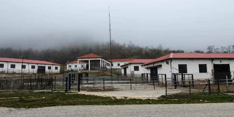 ΚΤΗΝΟΤΡΟΦΙΚΗ ΣΧΟΛΗ ΒΛΑΣΤΗΣ