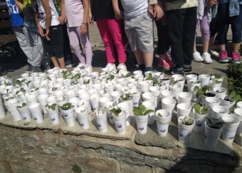 Προσφορά ζαρζαβατικών από το 1ο Δημοτικό Σχολείο Σιάτιστας