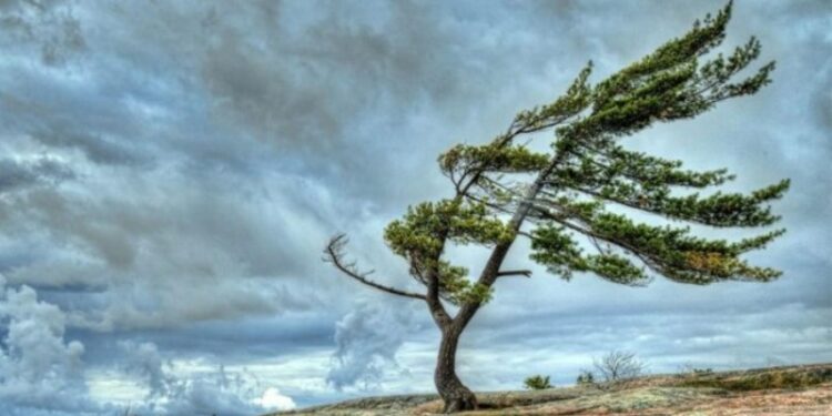 ανεμοι, καιρος