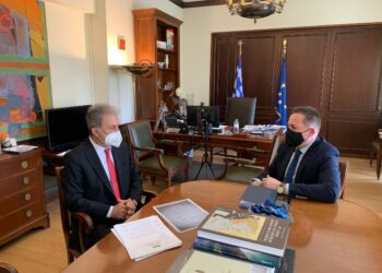 Συνάντηση Αμανατίδης με Πέτσα