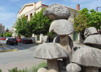 Με οικολογικό αποτύπωμα το Δημαρχείο Γρεβενών – Άνοιξε ο ηλεκτρονικός διαγωνισμός για την ενεργειακή του αναβάθμιση