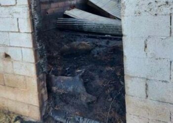 Πυρκαγιά κατέστρεψε κτηνοτροφική μονάδα