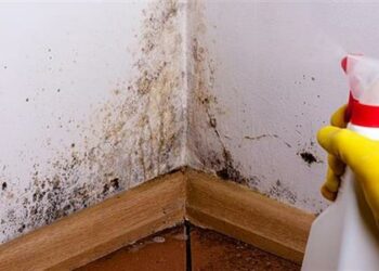 μουχλα, καθαριοτητα