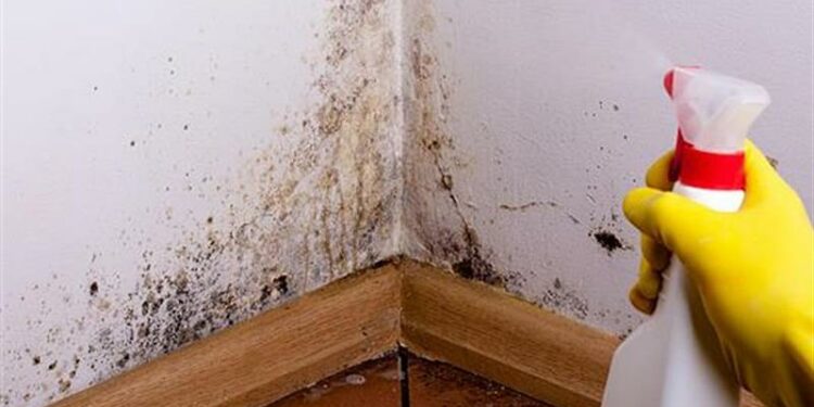 μουχλα, καθαριοτητα