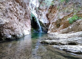 Κοινότητα Αιανής και ο Εμπορικός Σύλλογος.