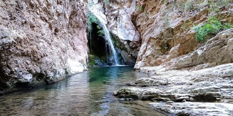 Κοινότητα Αιανής και ο Εμπορικός Σύλλογος.