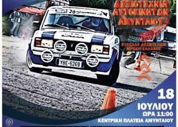 Δεξιοτεχνία αυτοκινήτων Αμυνταίου