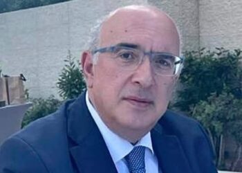 Μιχάλης Παπαδόπουλος