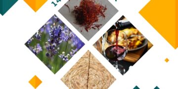 ΔΗΜΟΣ ΚΟΖΑΝΗΣ