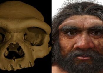 Dragon Man, δρακάνθρωπος