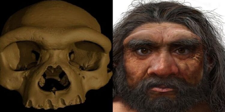 Dragon Man, δρακάνθρωπος