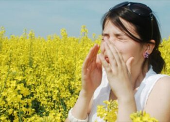 φταρνισμα, αλλεργια