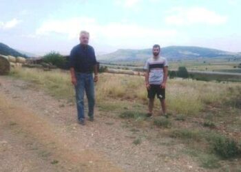 Τσιούμαρης