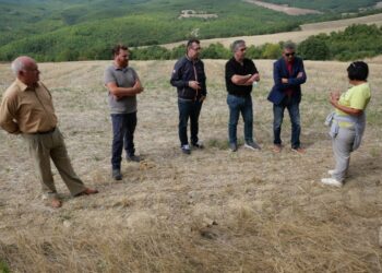 Επίσκεψη του Δημάρχου Γρεβενών Γιώργου Δασταμάνη στις ανασκαφές που είναι σε εξέλιξη στην κοινότητα του Αγίου Γεωργίου