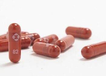 ΧΑΠΙ ΚΟΡΟΝΟΙΟ