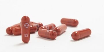 ΧΑΠΙ ΚΟΡΟΝΟΙΟ