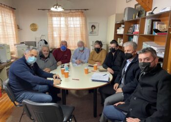 ΔΟΜΗ ΠΕΝΤΑΛΟΦΟΥ