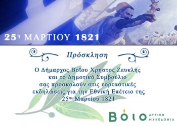 δημος βοιου