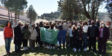 δεντροφύτευση